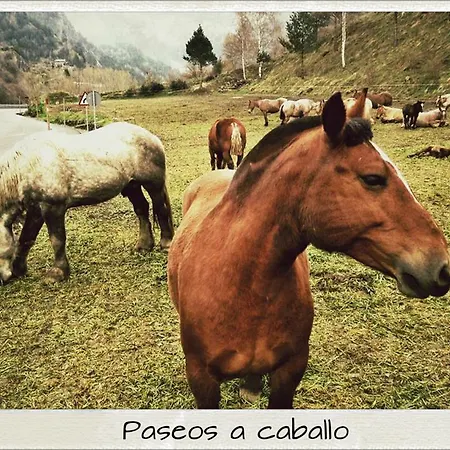 Sant Miquel 3* Andorra la Vella